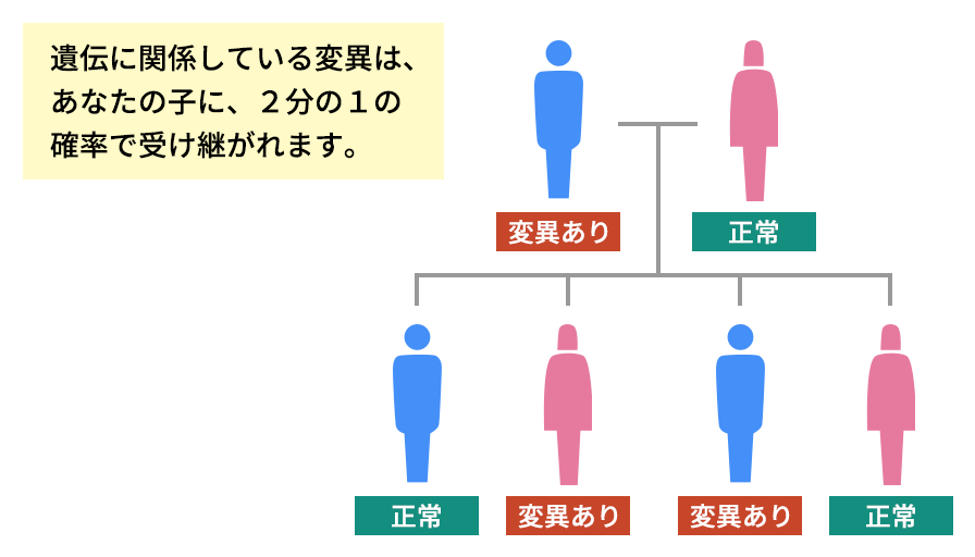 遺伝に関係している変異は、あなたの子に2分の1の確率で受け継がれます